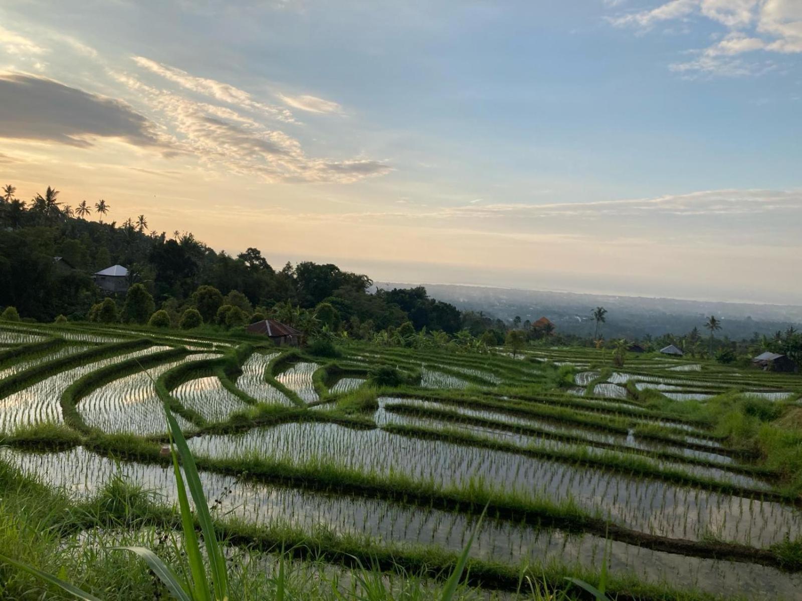 Kopi Bali House With Private Pool